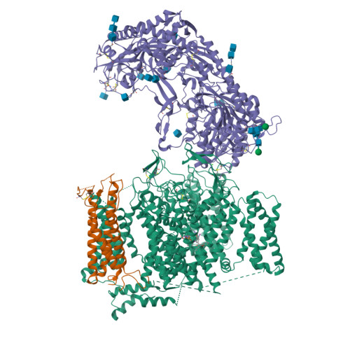 Rabbit L-type Cav1.1_Amiodarone_100 microM_MNI-1