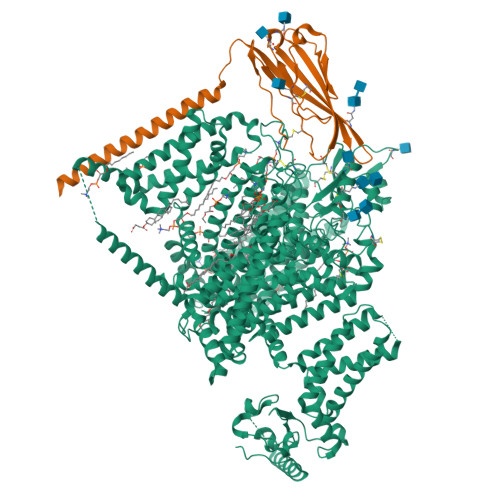 Nav1.7_hardwickii acid