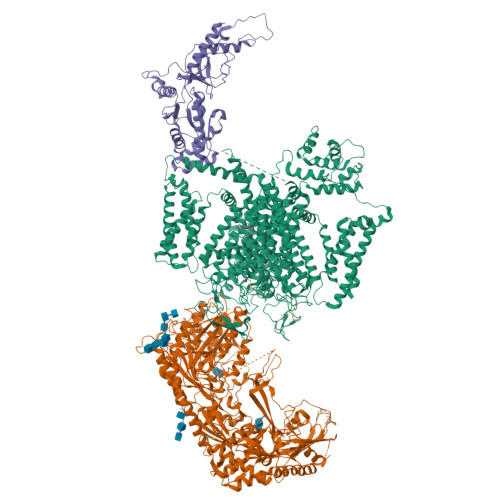 L-type hCav1.3_Amiodarone_Sofosbuvir
