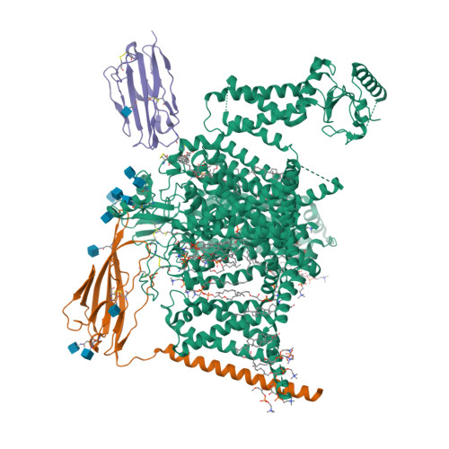 hNav1.7 mutant class-2