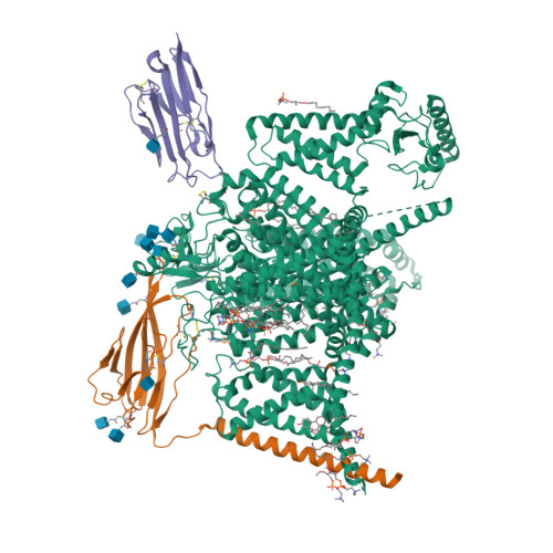 hNav1.7 mutant class-1