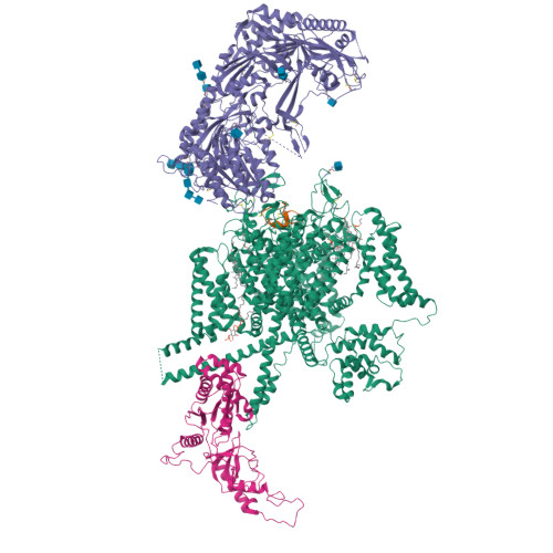 N-type hCav2.2_ziconotide