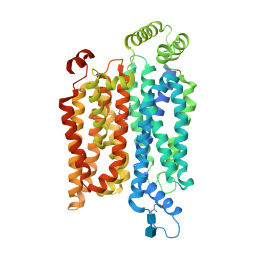 hGLUT4_CCB_detergent