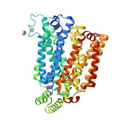 XylE_6-bromo-6-deoxy-D-glucose
