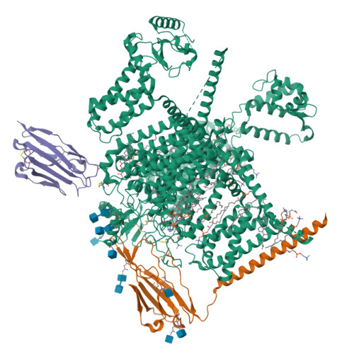 hNav1.7(E406K)-beta-huwentoxin-IV-saxitoxin(S6IV alpha helix)