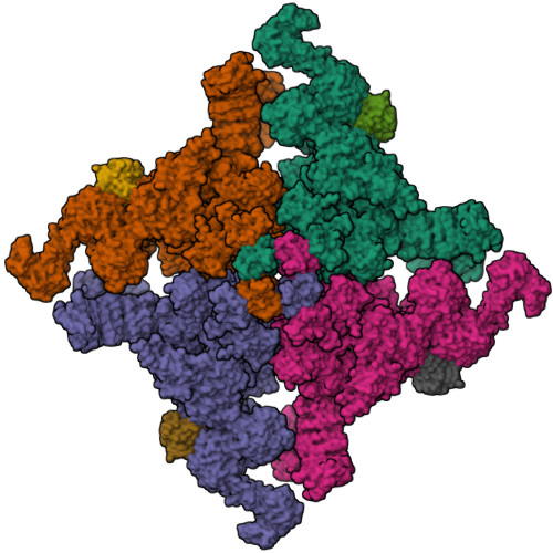 RyR2(STARF_A_C_L-Ca2+)