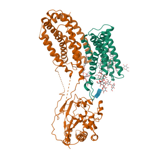Scap-Insig_digitonin