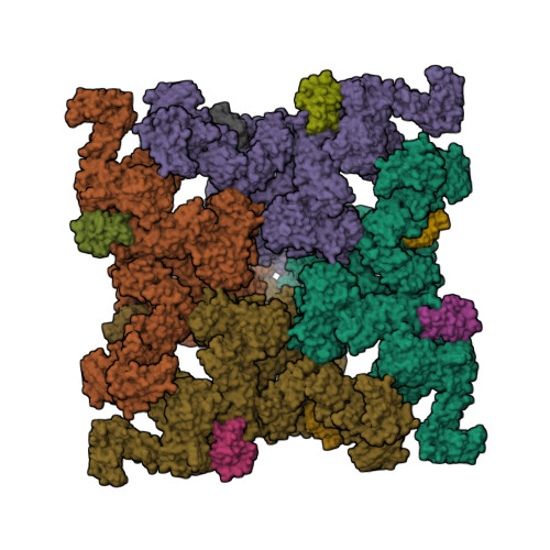 RyR2(F_A_C_H-Ca2+_Ca2+_CaM)