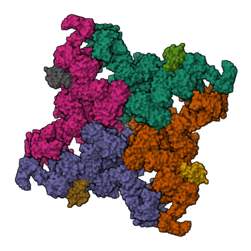 RyR1 (closed state)_C3 conformer