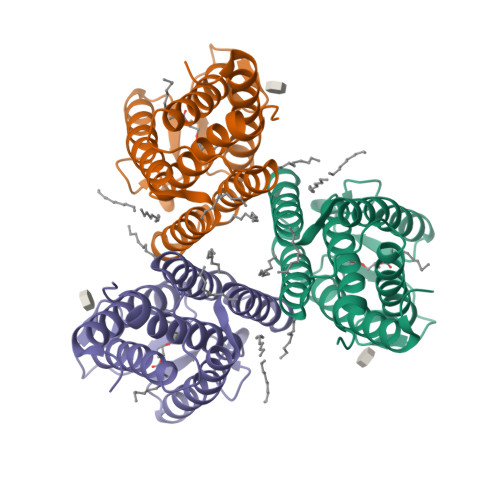MvINS_bromine-derived 14C Diacylglycerol (DAG)