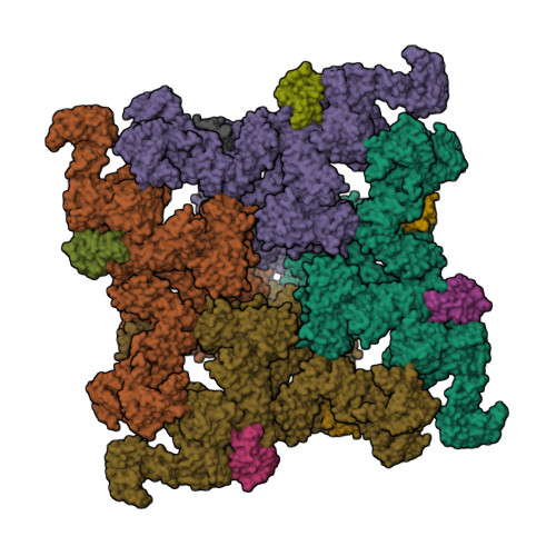 RyR2(STARF_A_C_L-Ca2+_Ca2+_CaM)