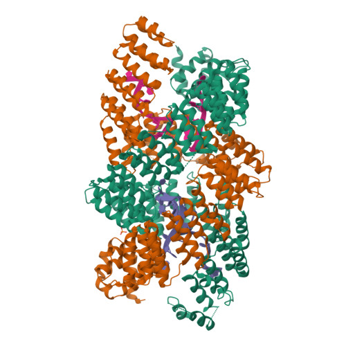 PPR10(C256S,C430S,C449S) _18nt RNA