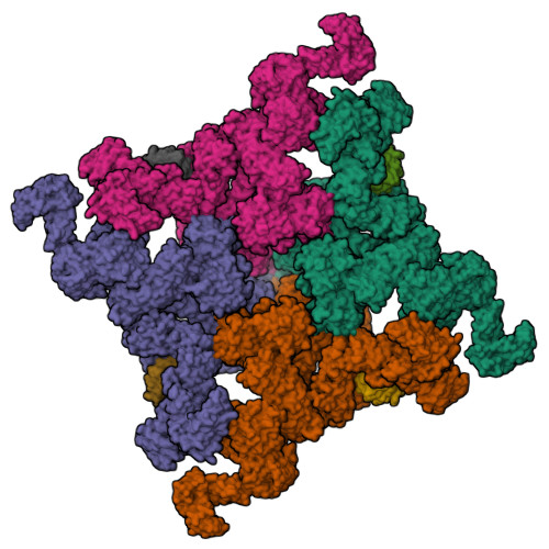 RyR2(P_L-Ca2+_Ca2+-CaM)