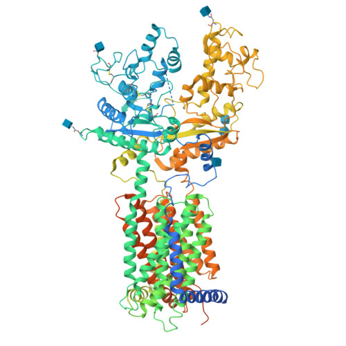 hPtch1_L282Q_T500F_P504L