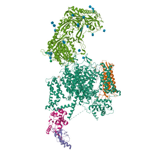 Rabbit Cav1.1-Diltiazem