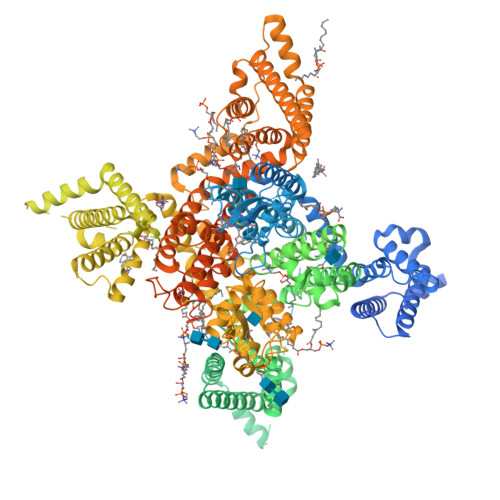 hNav1.8_A-803467_class-1