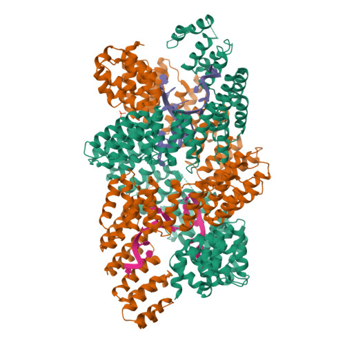 PPR10_18-nt pasJ RNA