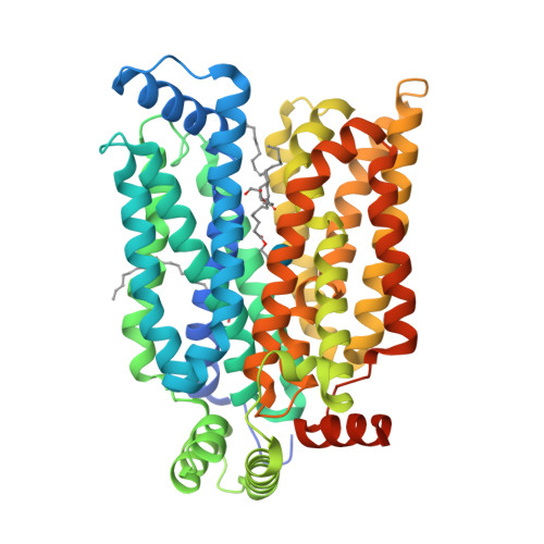 GLUT3 (ourward_occluded)_D-glucose