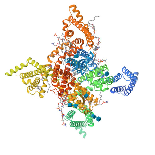 hNav1.8_A-803467_class-II