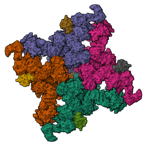 RyR1 (closed state)_C1 conformer