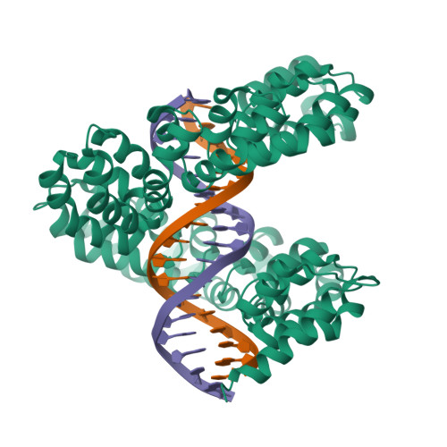 dHax3_DNA