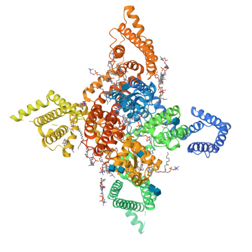 hNav1.8_A-803467_class-III