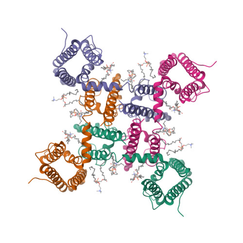 NaChBac_Nav1.7VSDII_nanodisc