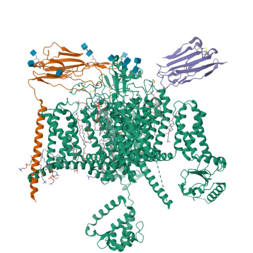 hNav1.7(E406K)-beta-huwentoxin-IV-saxitoxin(S6IV pi helix)