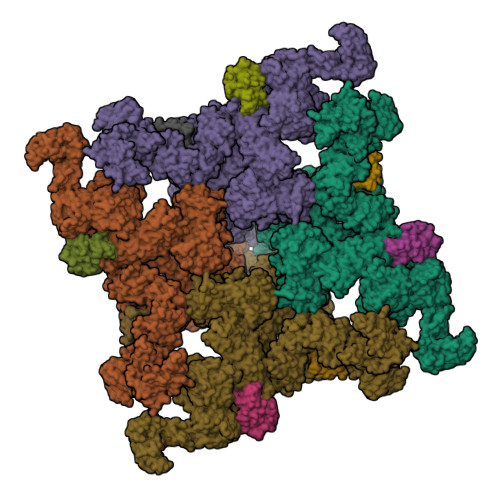 RyR2(F_A_C_L-Ca2+_Ca2+_CaM)