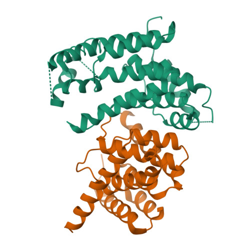 fission yeast SREBP binding domain