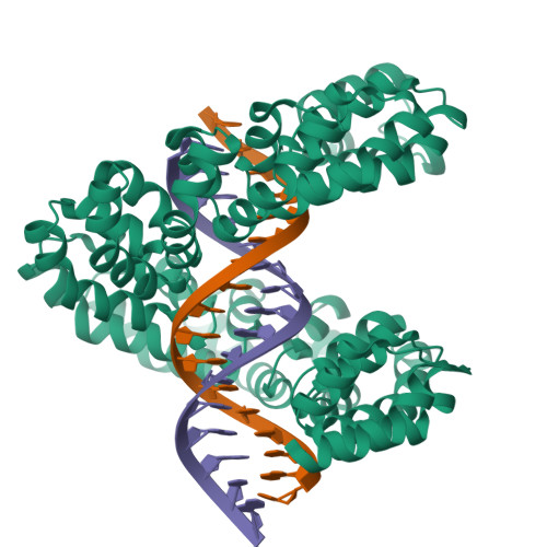 dHax3_DNA_RNA_hybrid