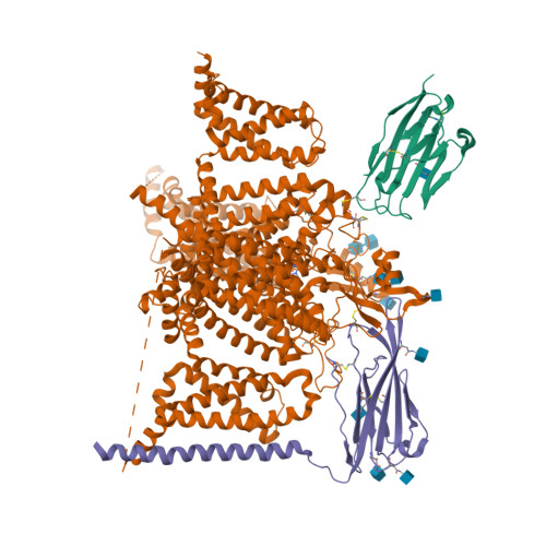 hNav1.7-beta-huwentoxin-IV_saxitoxin(Y1755up)