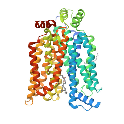 hGLUT3_exofacial state