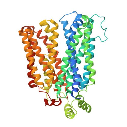 G58W_L315W_XylE mutant