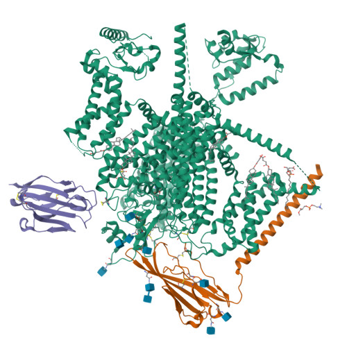 hNav1.7(E406K)-beta-ProTxII-tetrodotoxin