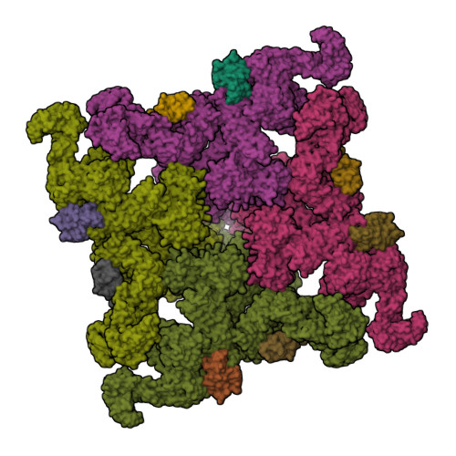 RyR2(F_A_C_L-Ca2+_apoCaM-M)