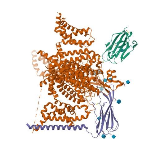 hNav1.7-beta-ProTx-II_terodotoxin(Y1755down)