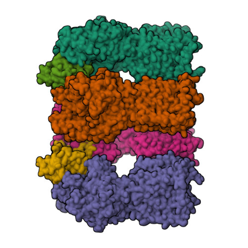 Tetrameric Ptch1_ShhNp(form I)